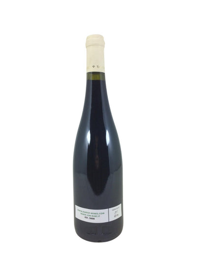 Saumur Champigny - 2012 - Domaine Des Fremonclairs - Rarest Wines